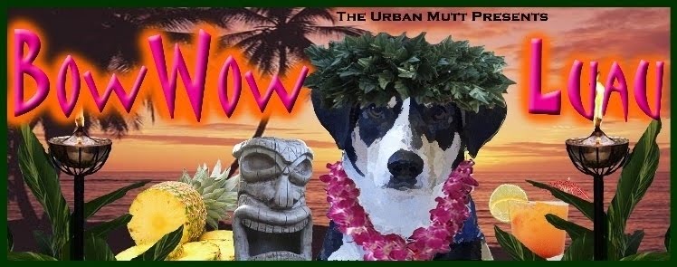 The Life of a Schnoodle Named Fred: 1st Annual Bow Wow Luau - June 13, 2010