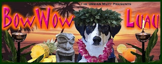 The Life of a Schnoodle Named Fred: 1st Annual Bow Wow Luau - June 13, 2010