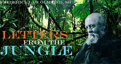 grounded design by Thomas Rainer: Olmsted in the Jungle