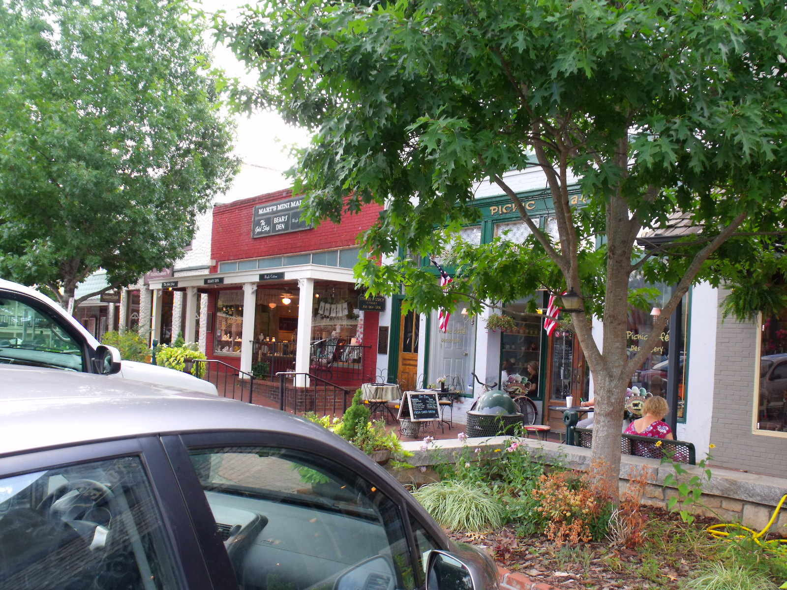 Feathers in the Nest Part 1 The old General StoreDahlonega,