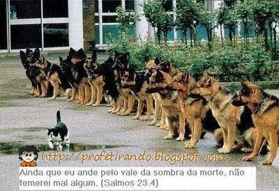 OQAAAO19qqA3mD5pYMTIHUJAySweL23eET4jPU7tYuLYkceWqlvsAISM5Q2 BGgY4p1gZIpvBT2iHF cCzkRmYi PKAAm1T1UGLPyEpY2aJ8A7M8FHLUzDrLkm3C Não temerei mal algum.