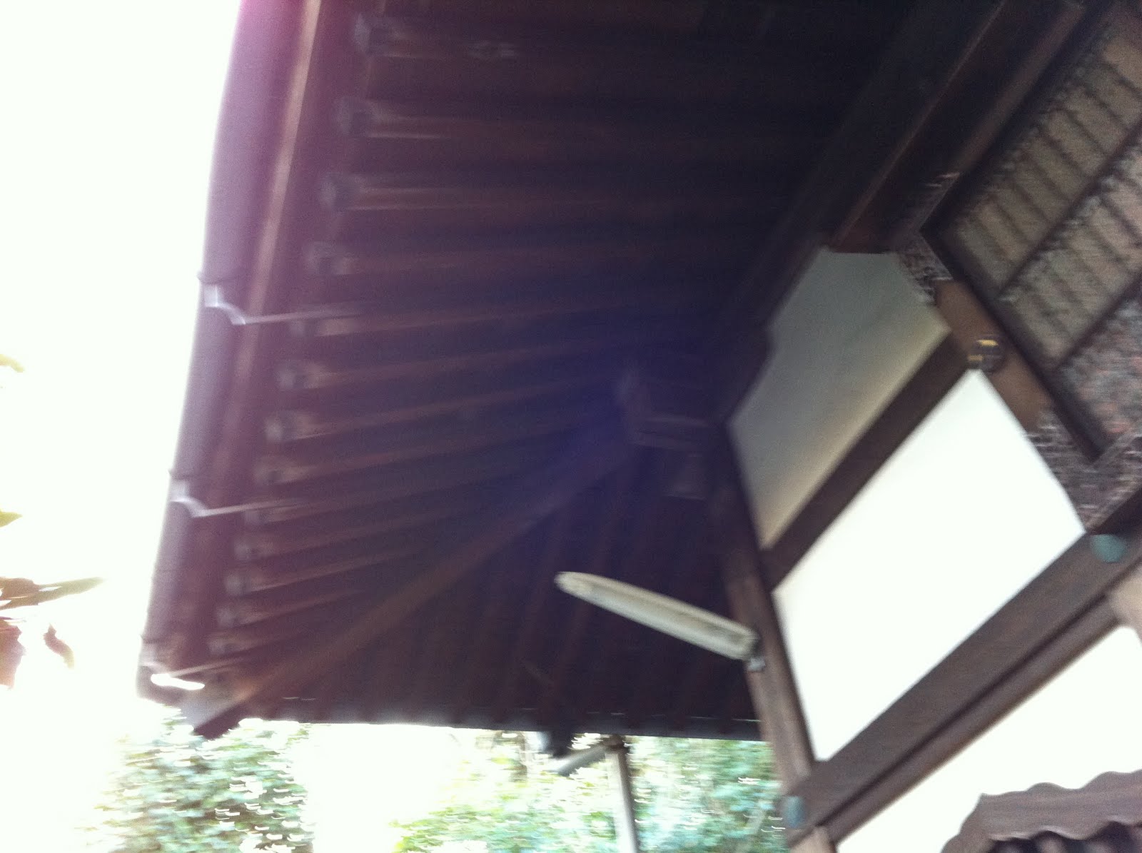 The Thing Is . . .: Taruki Rafters