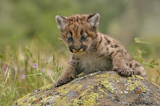 Aww!