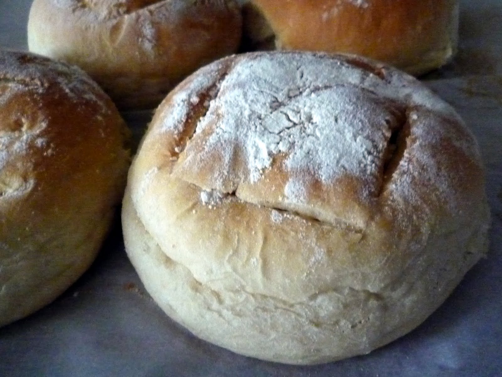 Petits Pains BröTchen - Rezepte Suchen