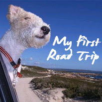 My First Road Trip