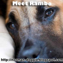 Rambo : RIP little one