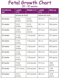 Pregnancy Growth Chart By Week