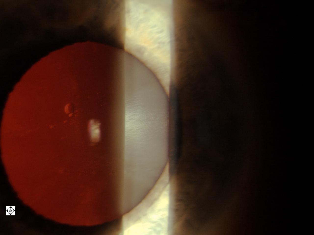 Sonoran Desert Eye Center