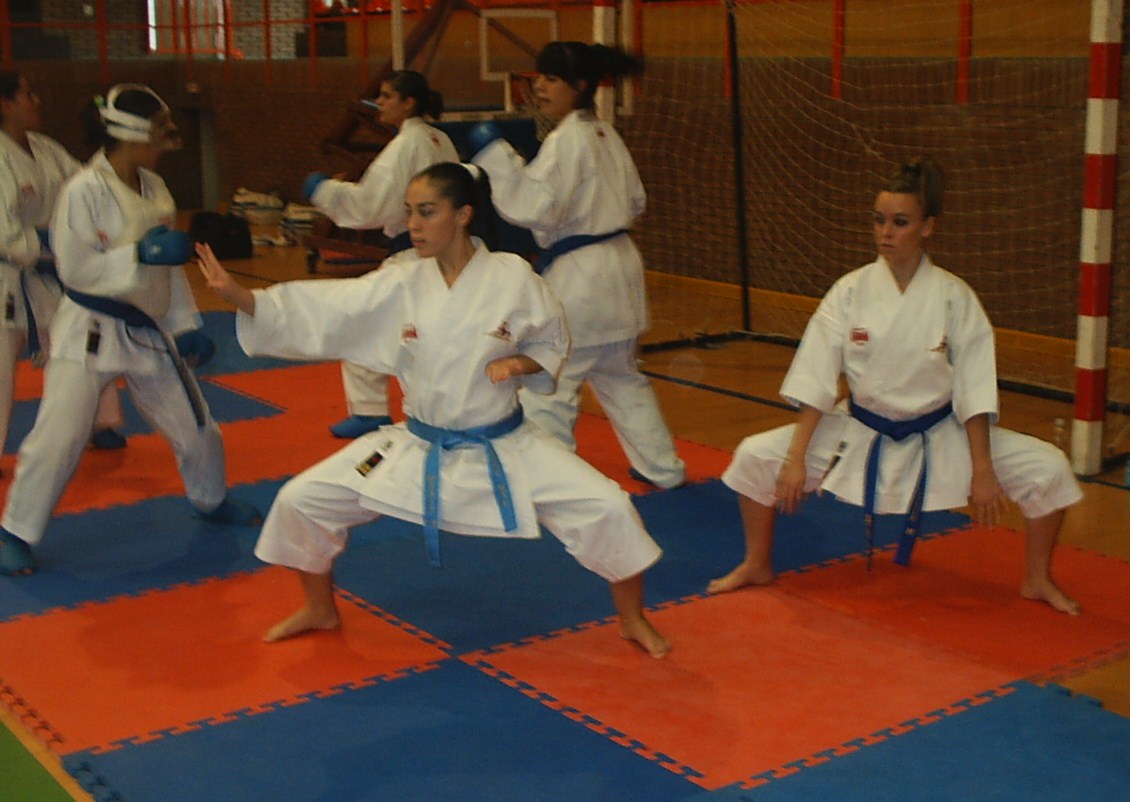 KARATE-DO 空手道: 1º Trofeo Lares.