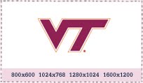 [vsvtlogo.jpg]