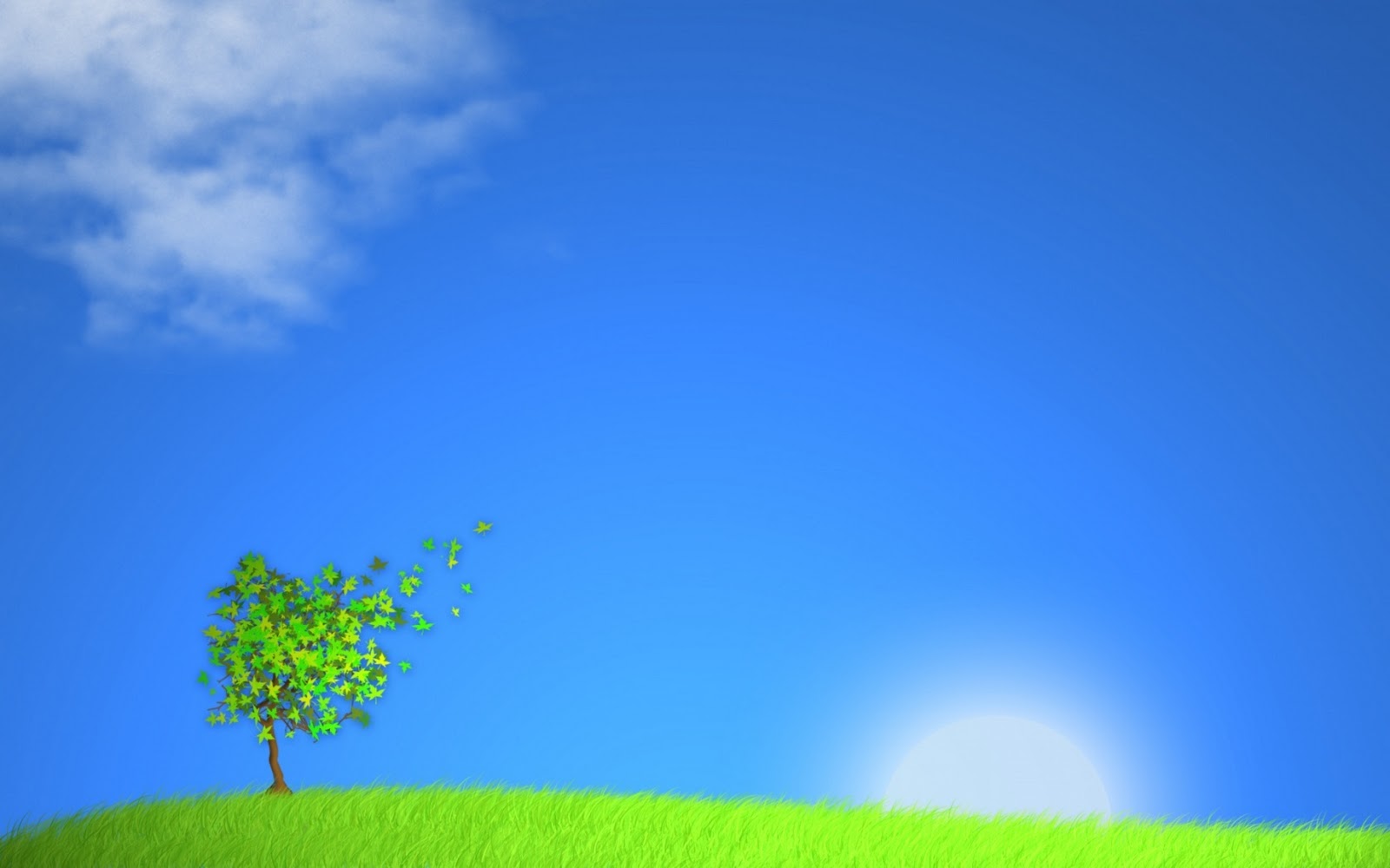 High Definition Photo And Wallpapers: random wallpapers,random ...
