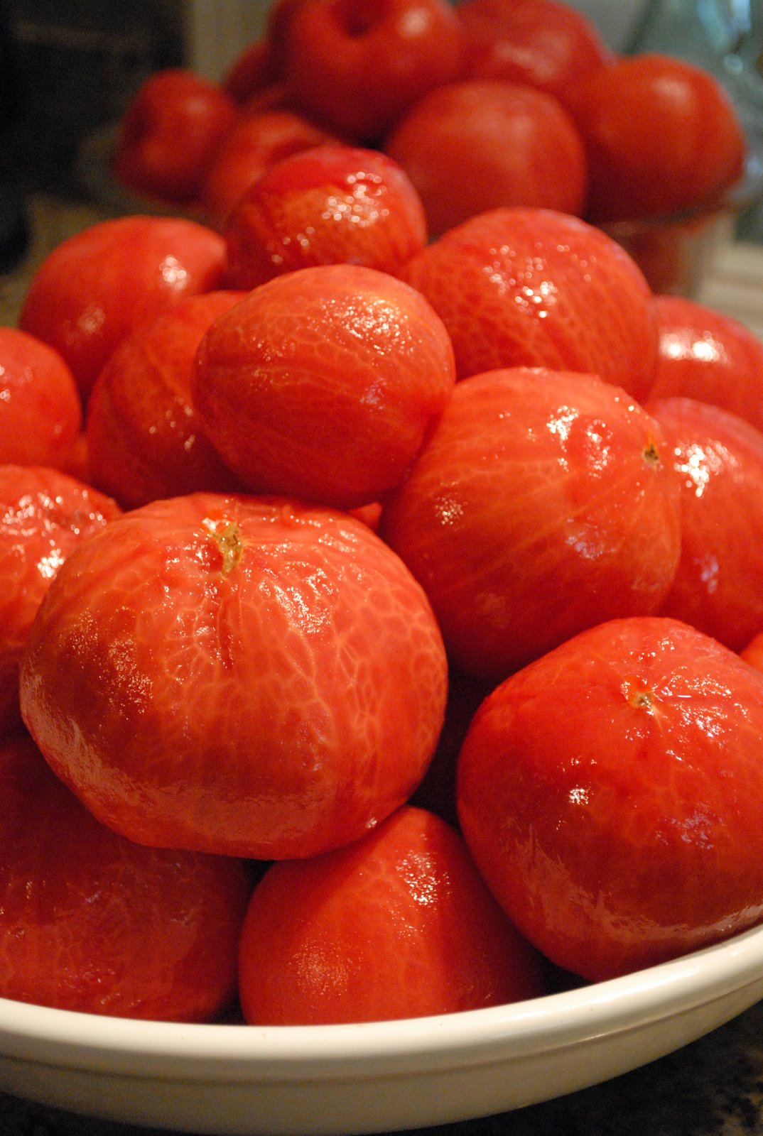 [tomatoes+016.JPG]