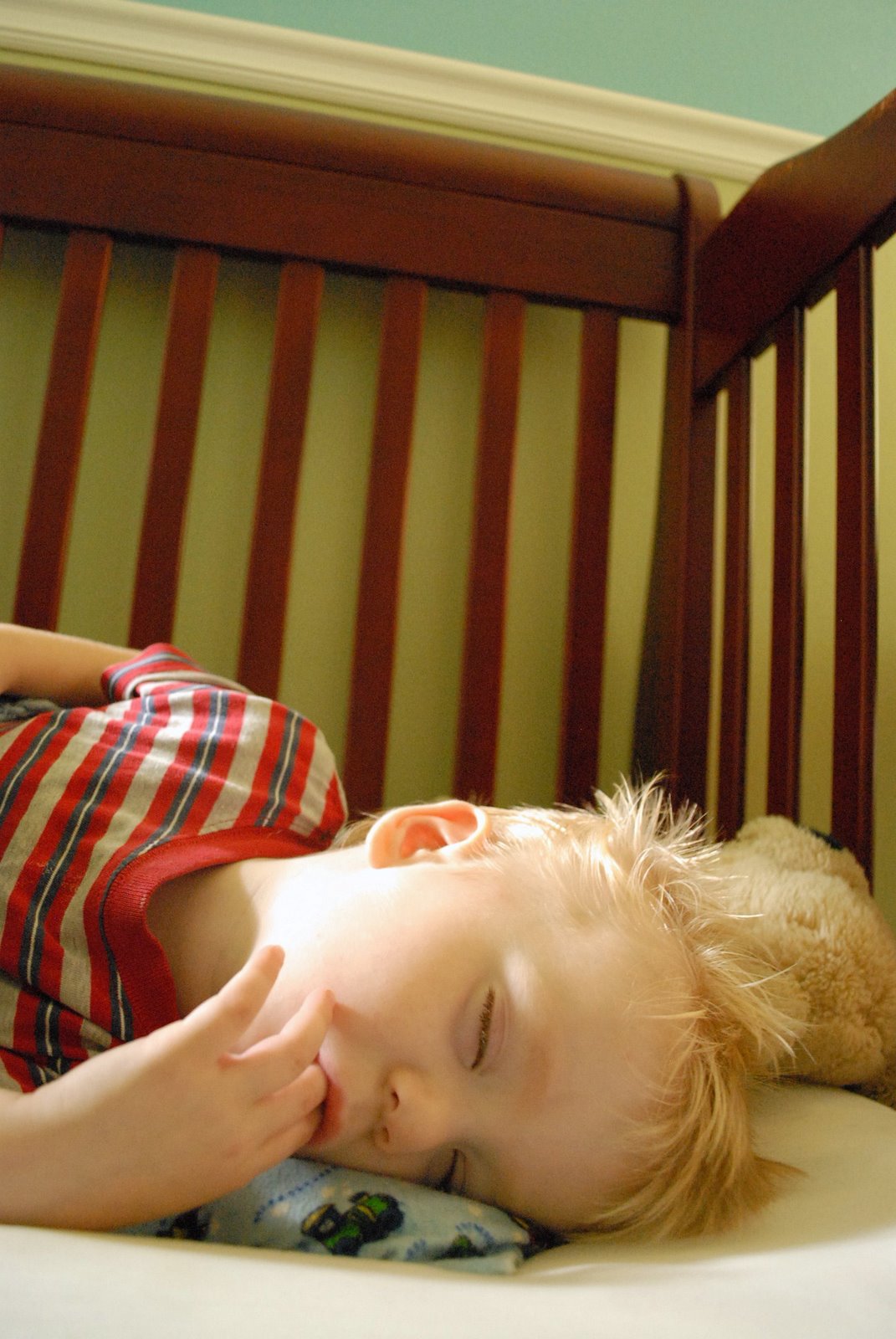 [sleepybabiesandPork+003.JPG]