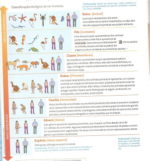 Professora Juliana: Características básicas do ser humano.