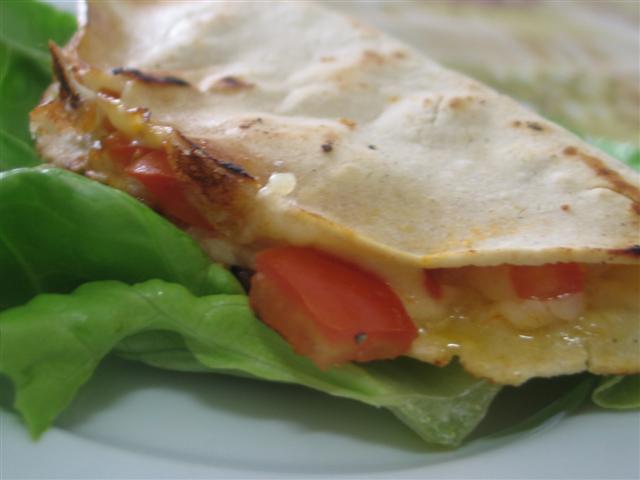 [Quesadilla+001+(Small).jpg]
