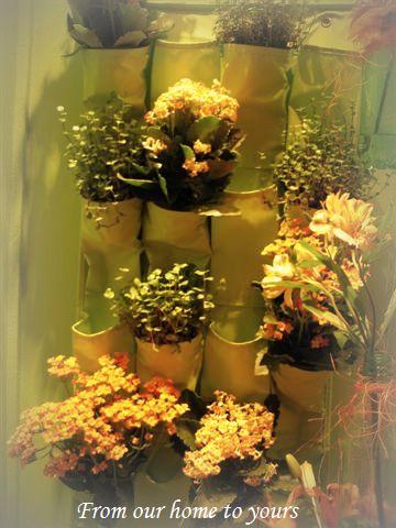 [Expoflora14set08+052b+(Small).jpg]