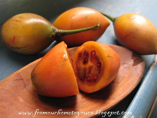 [TomateJaponesTomatillo+001+(Small).jpg]