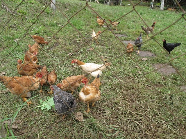 [IMG_2186+(640x480).jpg]