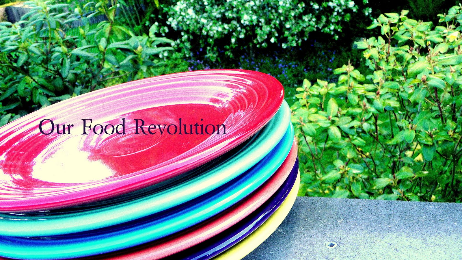 Our Food Revolution