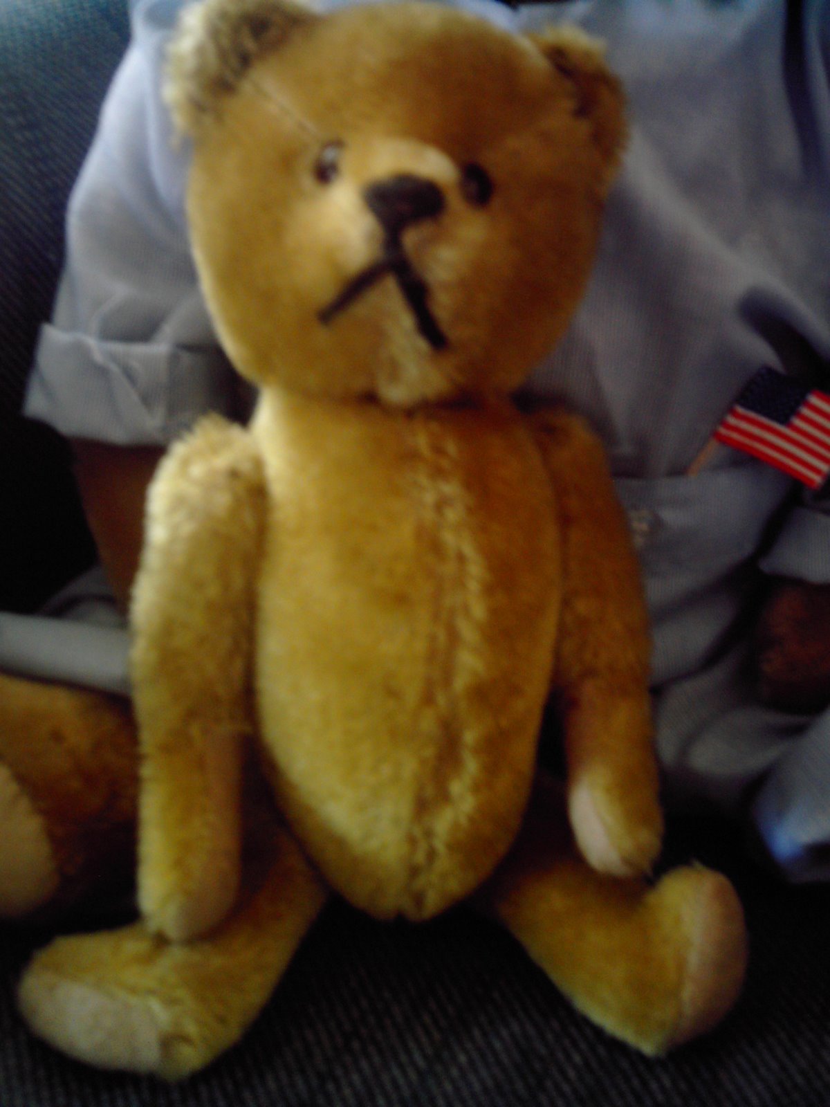 [teddy+bear.JPG]