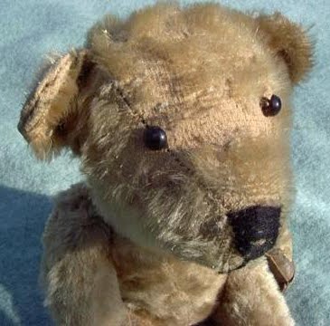 [american+bear+closeup.jpg]