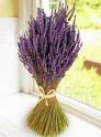[lavender_bundle.jpg]