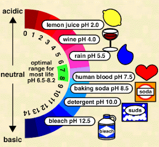 the-dirt-on-soil-plants-care-about-soil-ph
