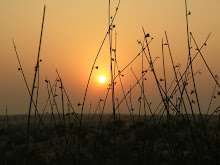 Desert sunset, Manvar Camps, Rajasthan