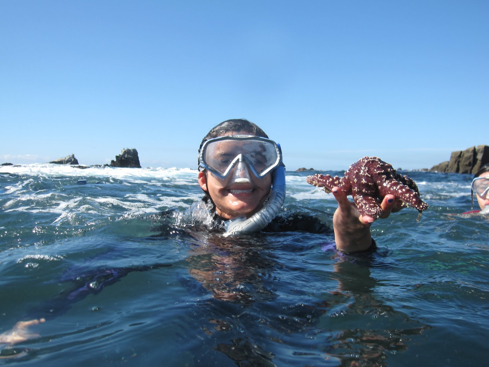 Happy Trails Snorkeling at Laguna Beach