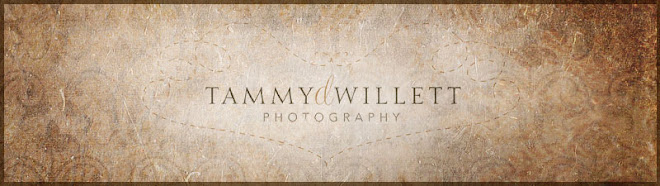 tammy d willett photography - blog