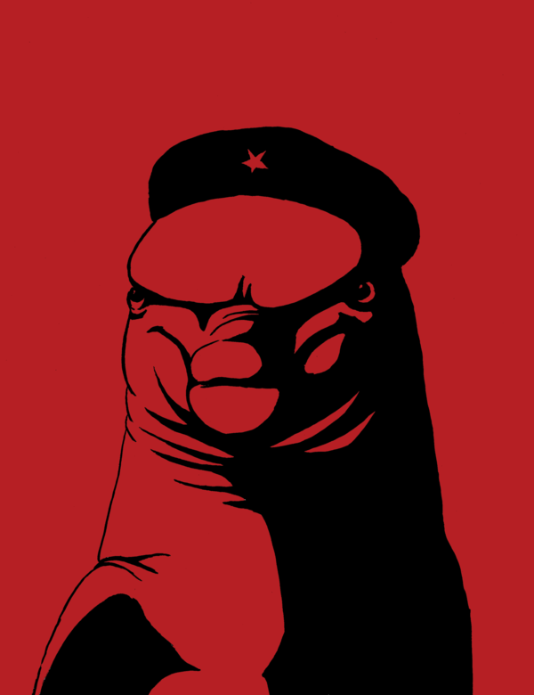 Che_Guevara_Dolphin_by_krishva.png