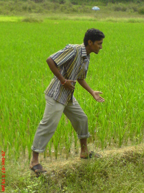 THE REAL NATURE RATTOTA SRILANKA