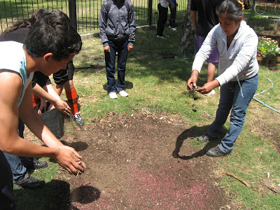 Jardines EEMN2: Practico Césped