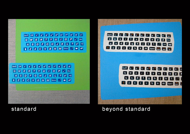 standard and beyond standard