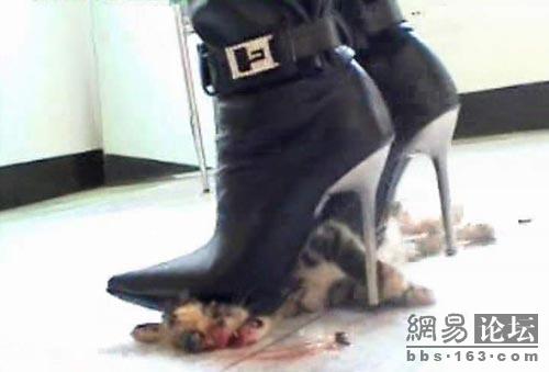 new-high-heel-kitten-killer-10.jpg.