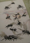 Trece hormigas