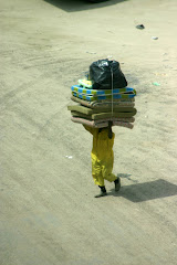 A Typical View from our Office Window...