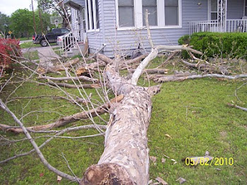 Tree fail on my house...wow!!!