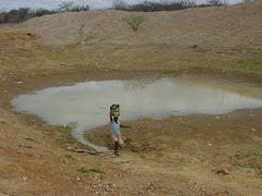 A busca de água na caatinga