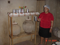 A geladeira da caatinga