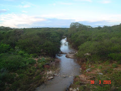 Água de chuva na caatinga IV