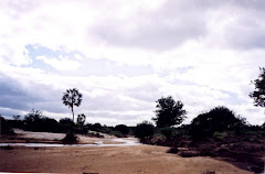 Um rio temporário da caatinga