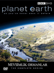 419-Yeryüzü Belgeseli - Planet Earth (2006) - Mevsimlik Ormanlar Türkçe Dublaj/DVDRip