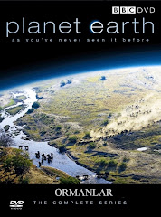 421-Yeryüzü Belgeseli - Planet Earth (2006) - Ormanlar Türkçe Dublaj/DVDRip