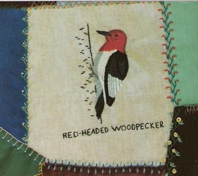 [CQ_redheaded-woodpecker.jpeg]