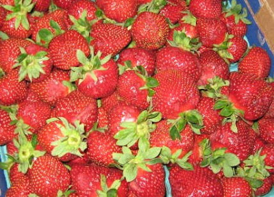 These were absolutely the best strawberries!