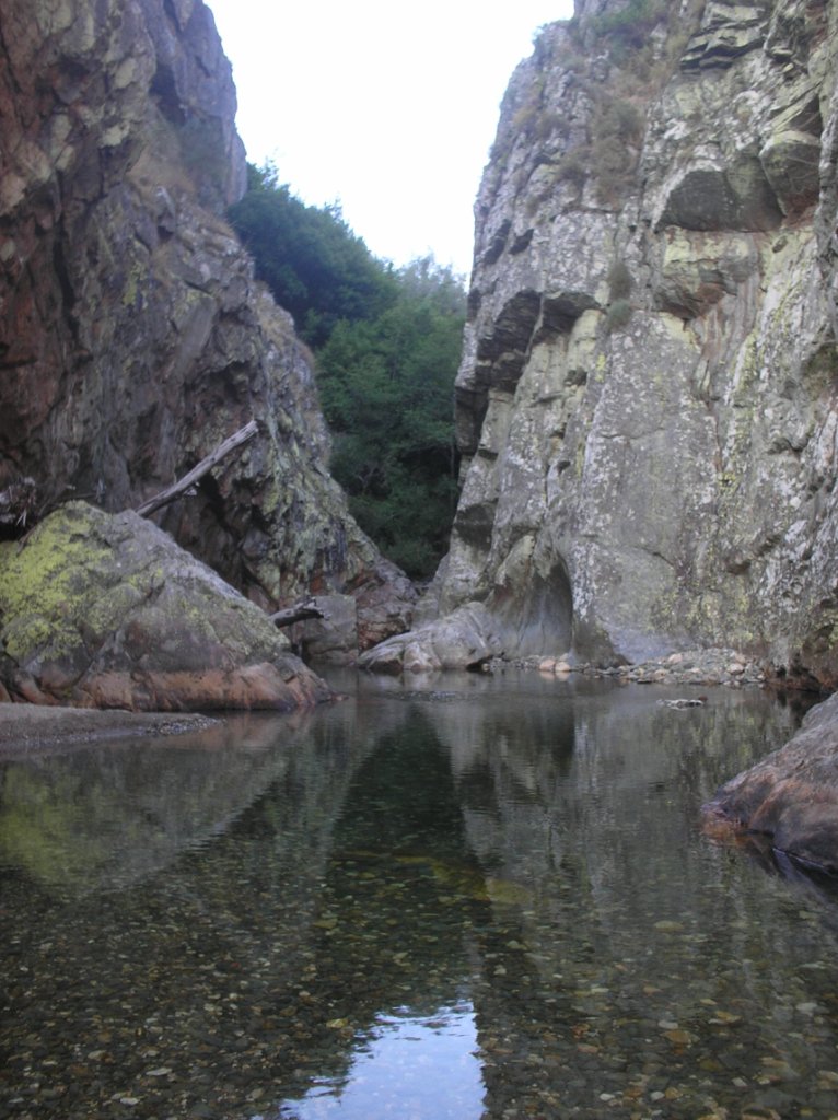 [CÃ³pia+de+P8130072.JPG]