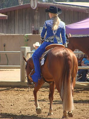 Equestrian show clothing-western-horsemanship tops-showmanship suits ...