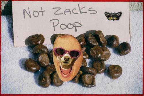 Zack Poop