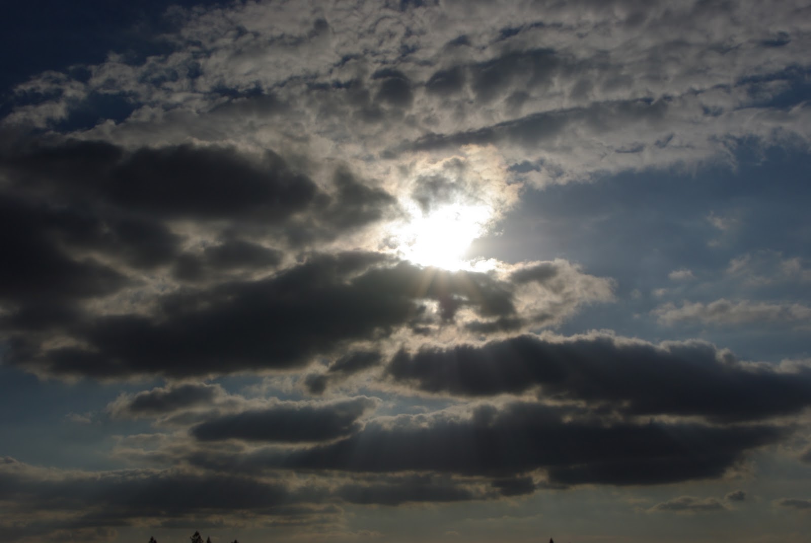 comprehensible: Nimbostratus Clouds